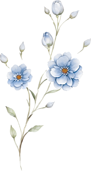 orn-gift